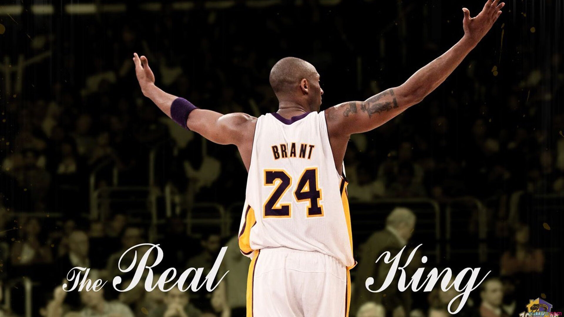 以“体育+科技”为核心，打造青少年篮球科技创新体验馆，科技篮球场